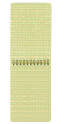 Original Meldeblock, wasserfest, klein, Spiralbindung, 10 x 15 cm