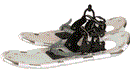 Schneeschuhe