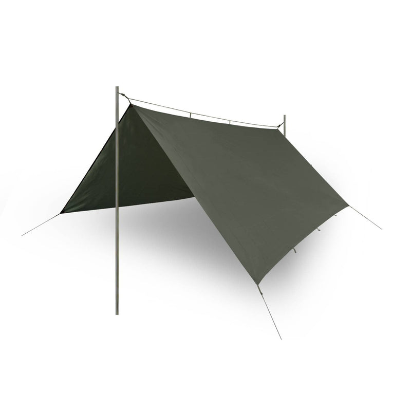 Tarp