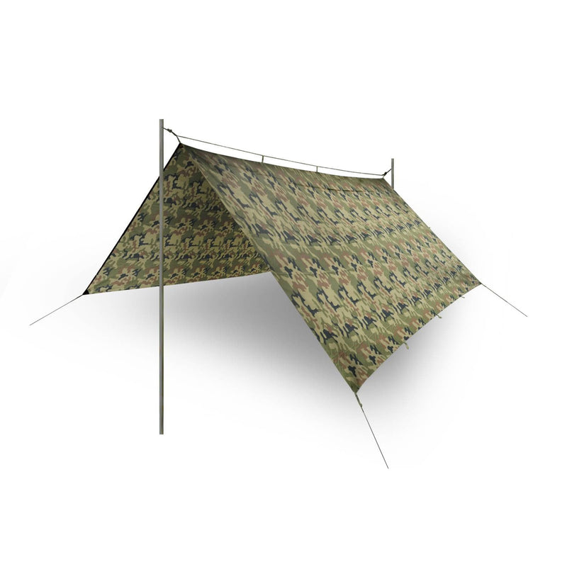 Tarp